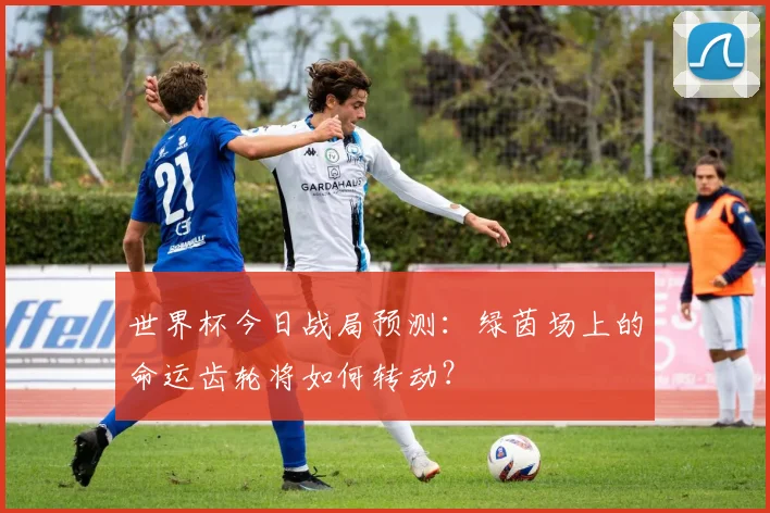 世界杯今日战局预测：绿茵场上的命运齿轮将如何转动？
